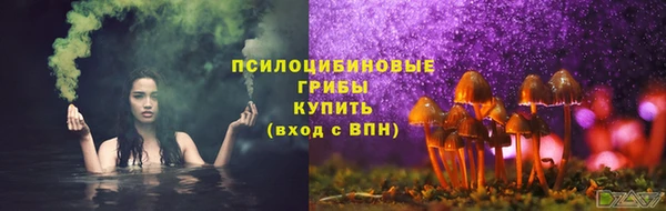 бутират Арсеньев