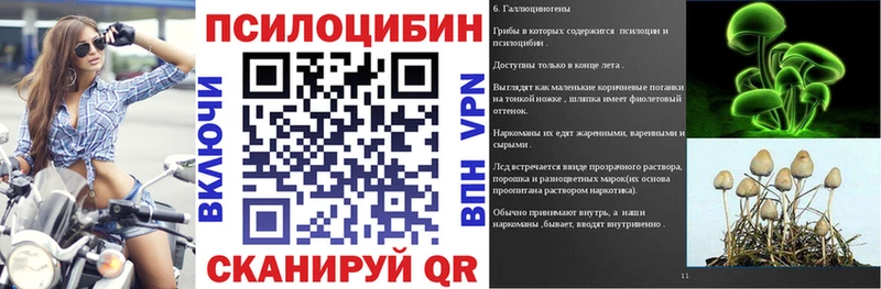купить наркоту  Лодейное Поле  Псилоцибиновые грибы Psilocybine cubensis 